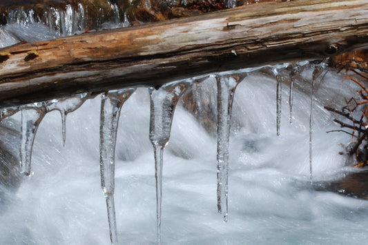 Trout Streams Fly Fishing Report - February 17, 2026