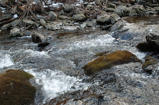 Trout Streams Fly Fishing Report - February 25, 2026