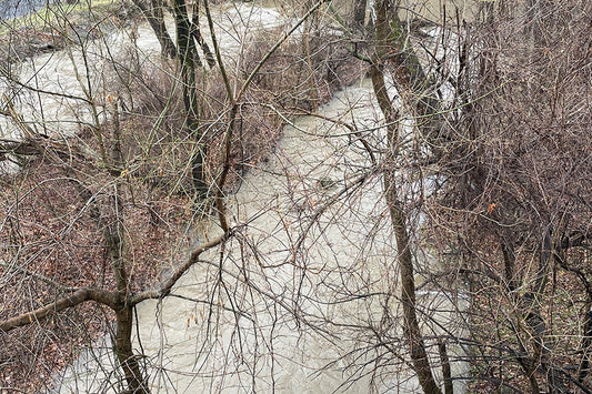 Stocked Trout Streams Fly Fishing Report - March 6, 2026