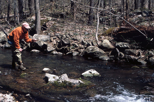 Mountain Trout Streams Fly Fishing Report - March 27, 2024