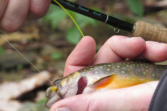 Trout Streams Fly Fishing Report - April 1, 2026