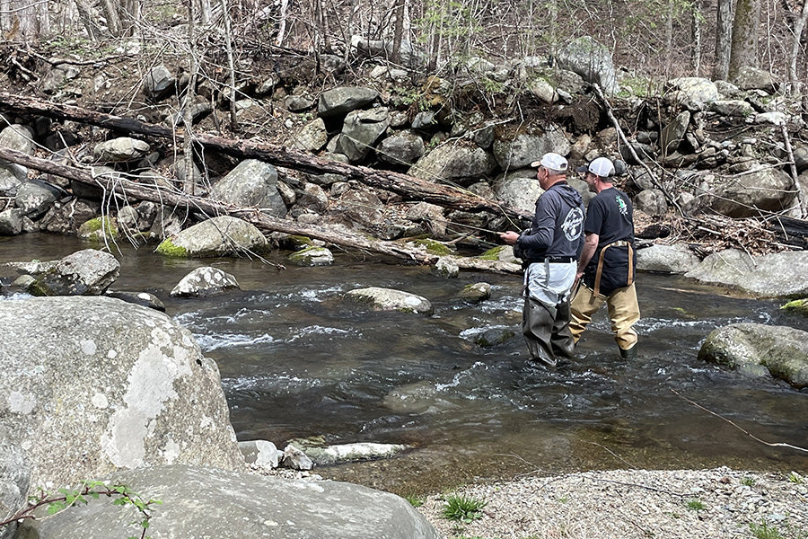 Mountain Trout Streams Fly Fishing Report - April 2, 2025