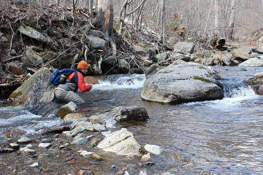 Trout Streams Fly Fishing Report --April 9, 2025