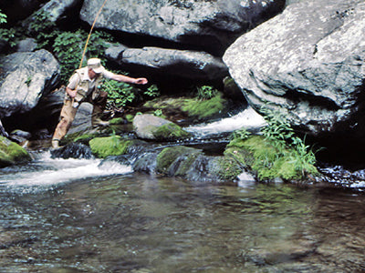 Mountain Trout Streams Fly Fishing Report - September 23, 2021
