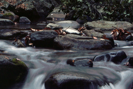 Stocked Trout Streams Fly Fishing Report - October 16, 2025