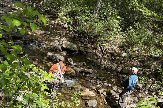 Trout Streams Fly Fishing Report - May 13, 2026