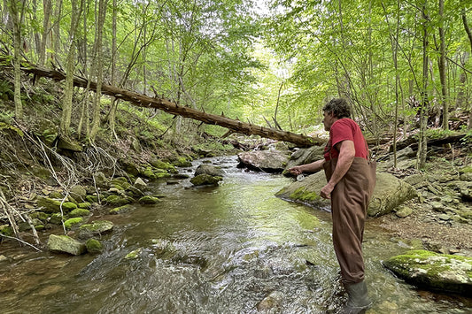 Mountain Trout Streams Fly Fishing Report - May 22, 2024