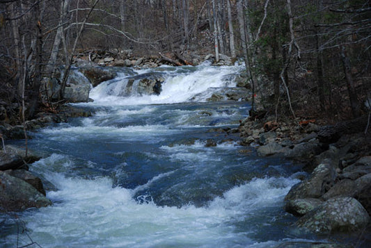 Mountain Trout Streams Fly Fishing Report UPDATE- May 12, 2017