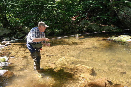 Mountain Trout Streams Fly Fishing Report - August 12, 2025