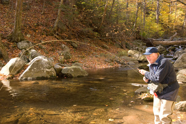 Delayed Harvest and Large Stocked Trout Streams Fly Fishing Report- November 30, 2017