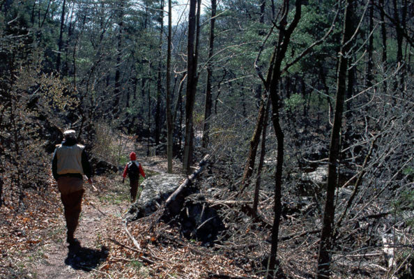 Hike and Camp Mountain Trout Streams