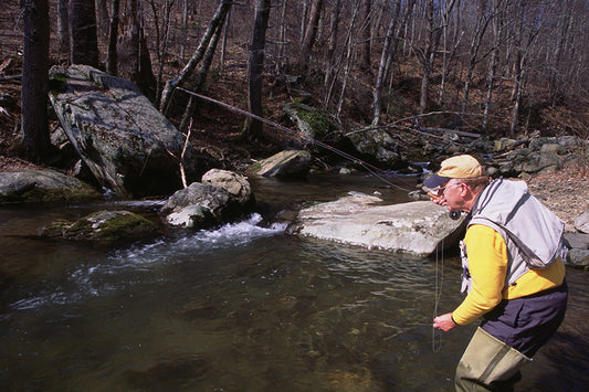 Trout Streams Fly Fishing Report - March 16, 2023
