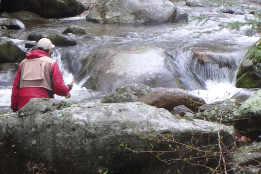 Trout Streams Fly Fishing Report - Update March 4, 2023