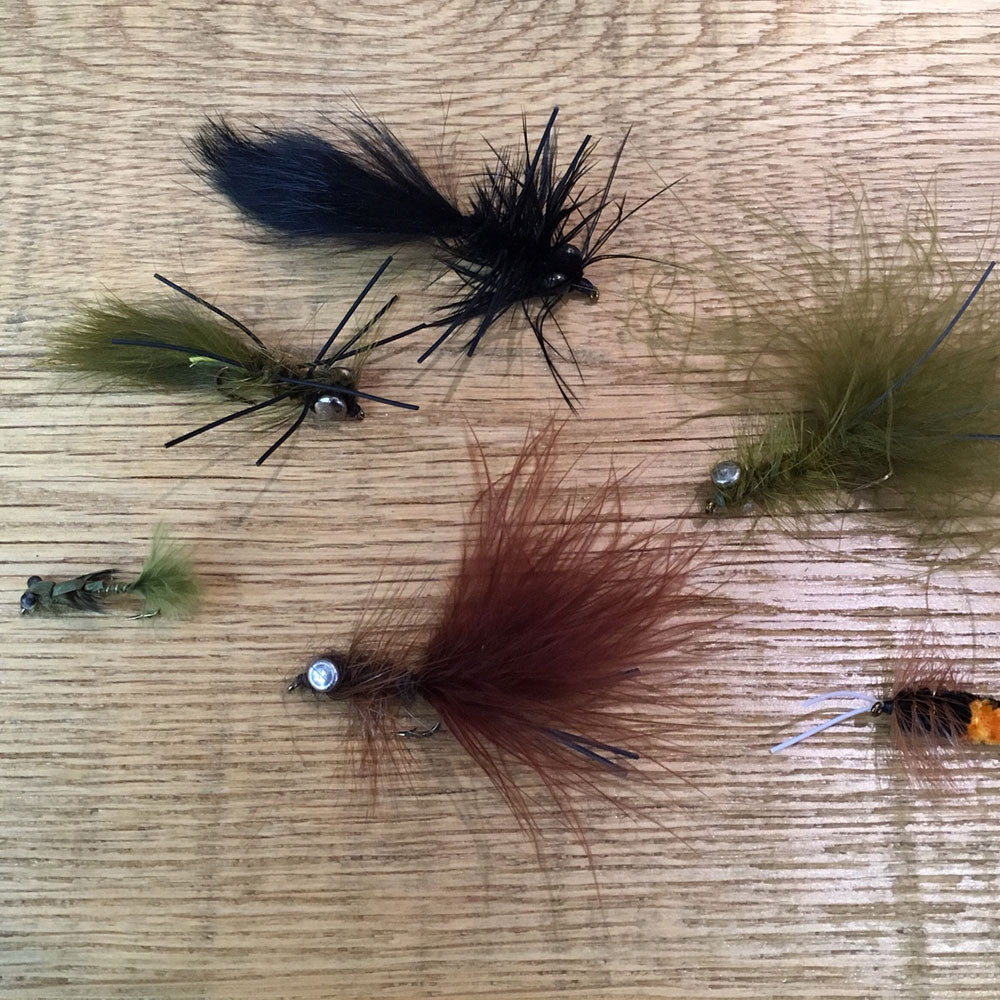 Shown is a collection of carp flies laying on a piece of white oak
