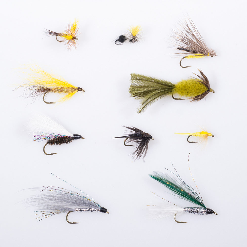 Assortment of Leaders and Tippets for Trout – Murray's Fly Shop