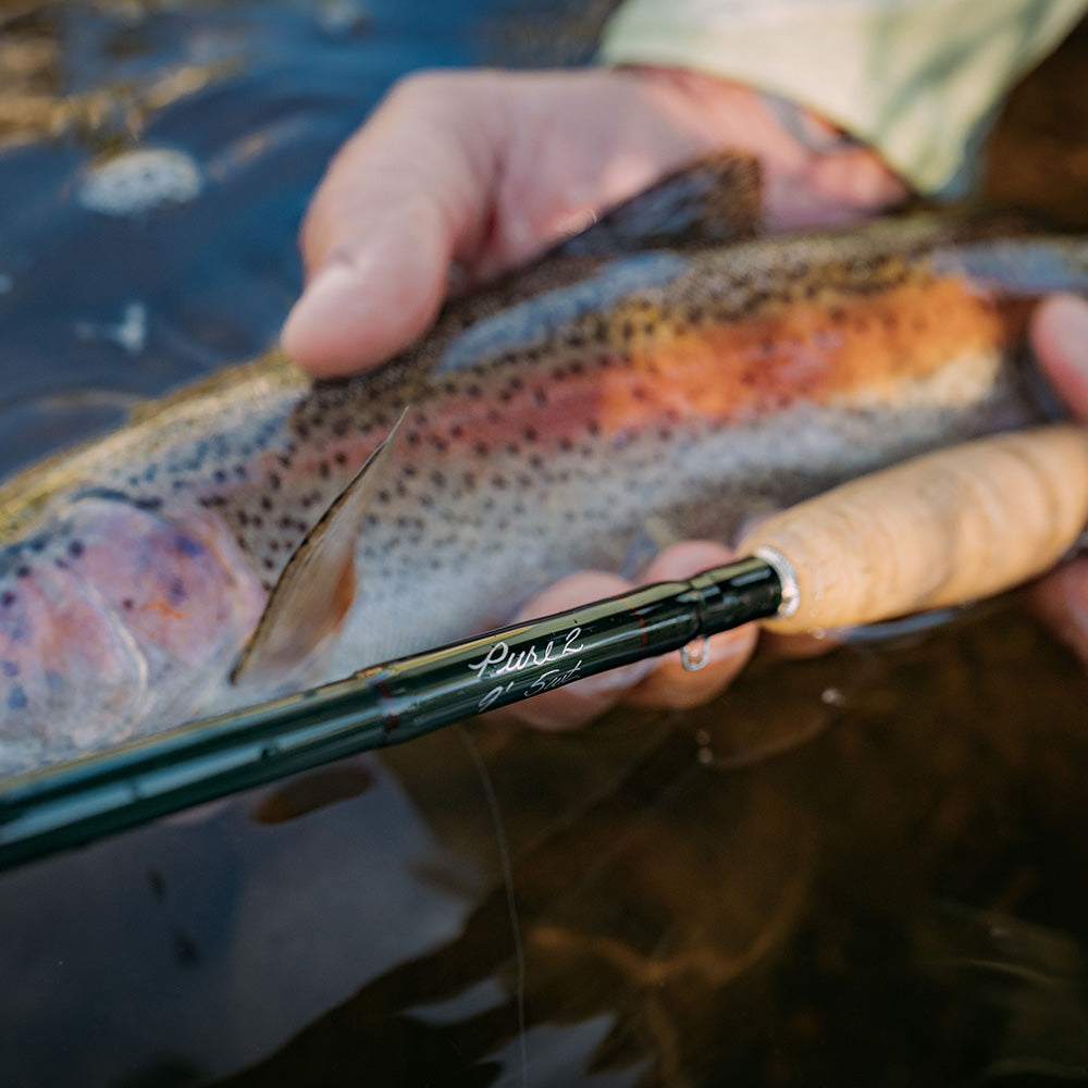 Winston Pure2 Graphite Fly Rod Series – Murray's Fly Shop