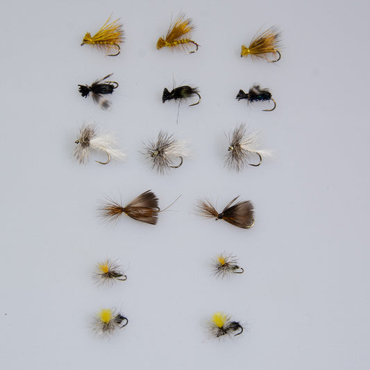 August Trout Fly Special with dry flies for wild brook trout
