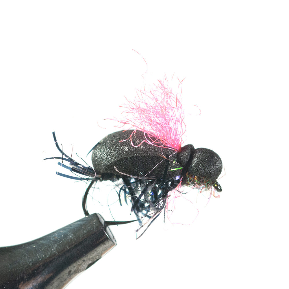 Barbless Beetle with pink wing
