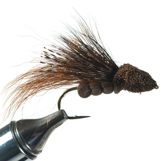 Murray's Bass Dragonfly Brown