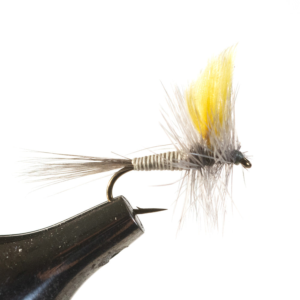 Blue Quill Mr. Rapidan Dry Fly