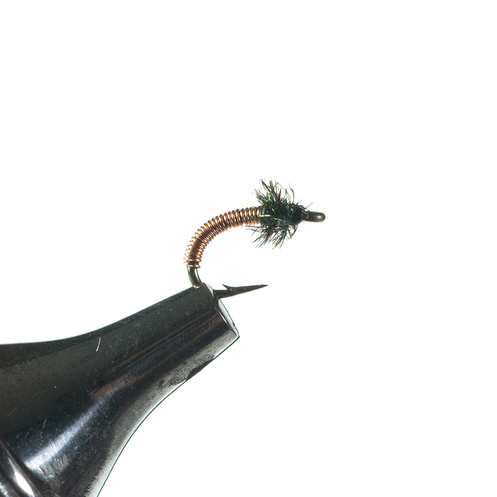 Brassie Nymph