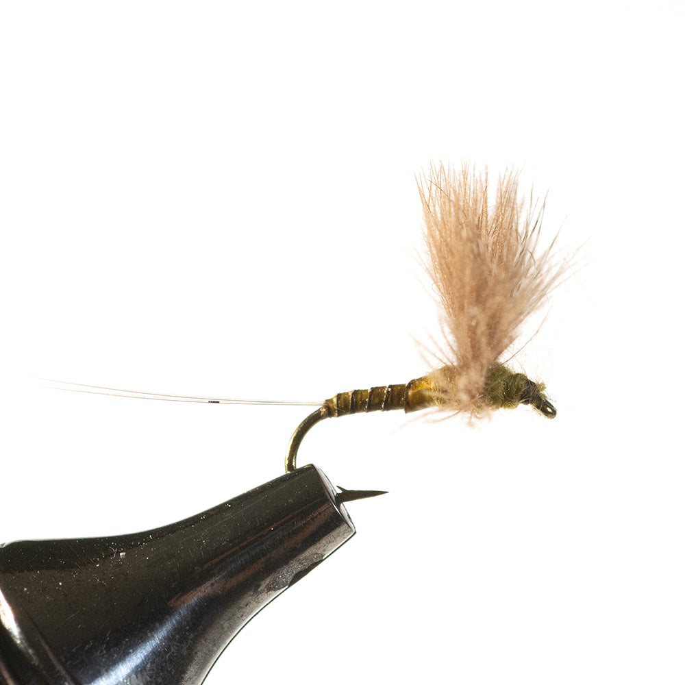 CDC Blue Wing Olive Dry Fly