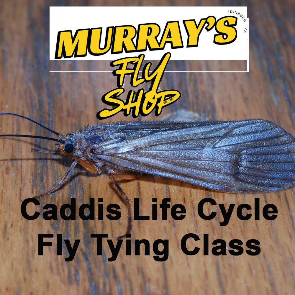 Murray's Fly Shop Caddis Life Cycle Fly Tying Class