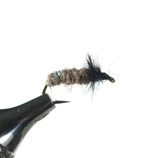 Murrays Caddis Larva