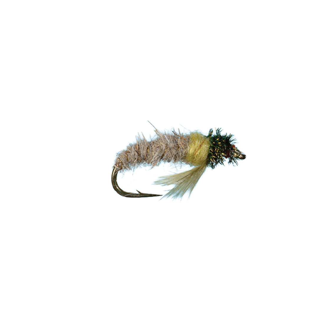 Caddis Larva Peeking Natural fly by Solitude that is a great caddis larva imitation for many trout streams.