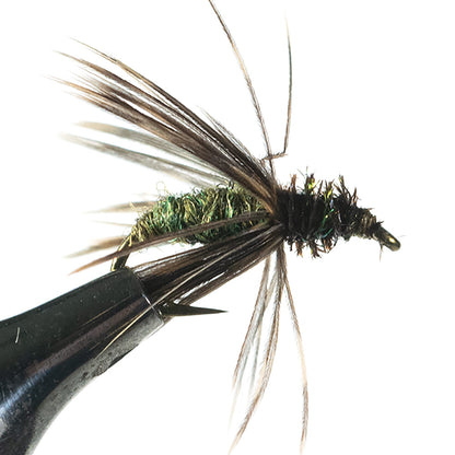 Murrays Caddis Pupa, Olive