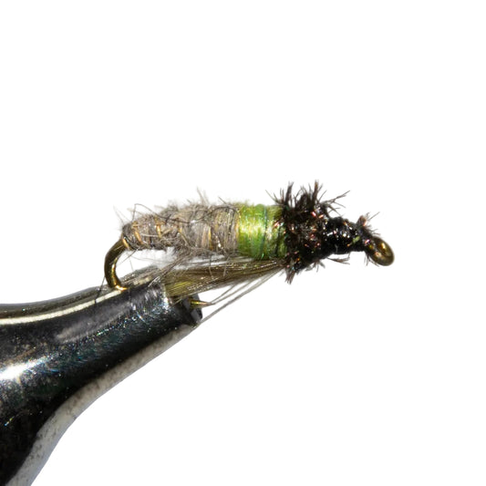 close up view of a Caddis Larva Peeking Fly in natural color on a vise