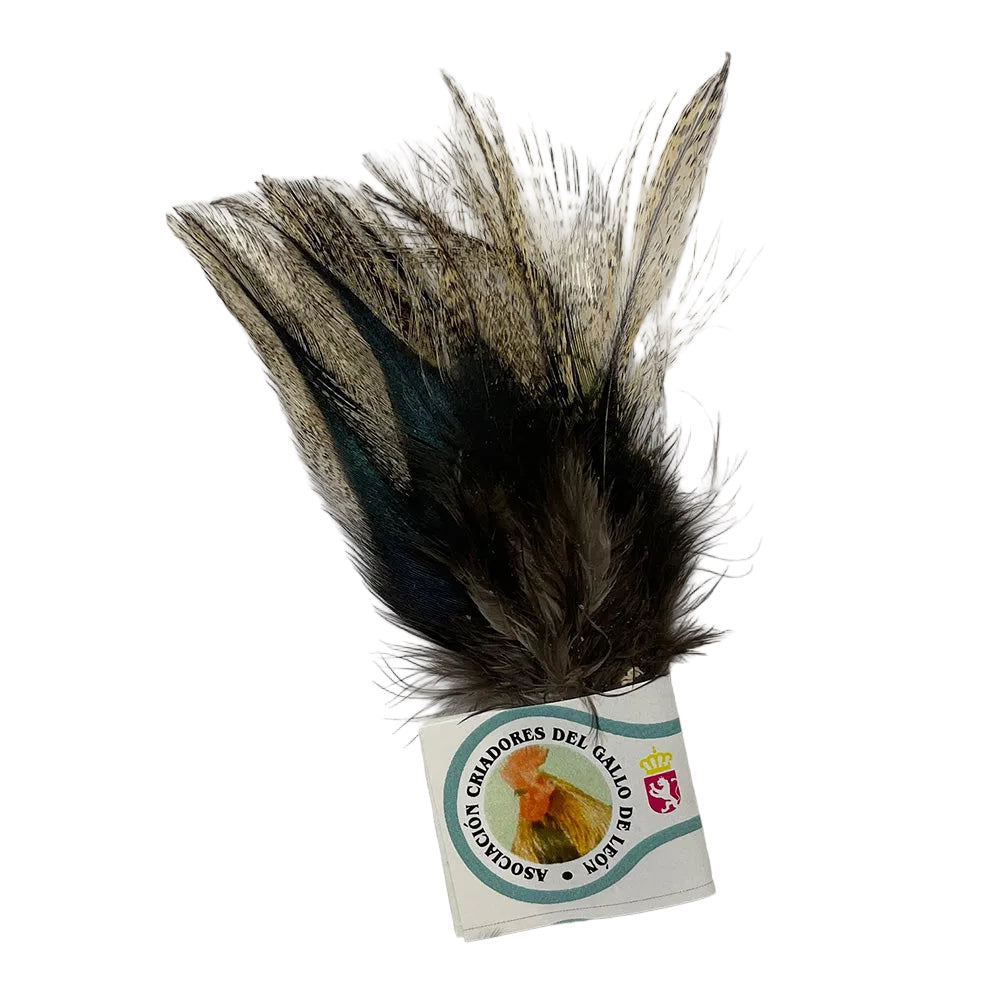 Coq De León fly tying feathers with natural speckled pattern used for dry fly and nymph tying in Dark Speckled Pardo