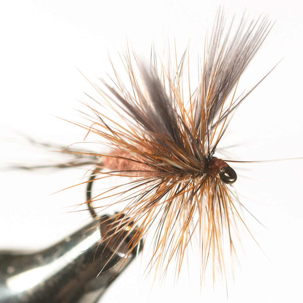 Murray's Drake Dry Fly, Brown