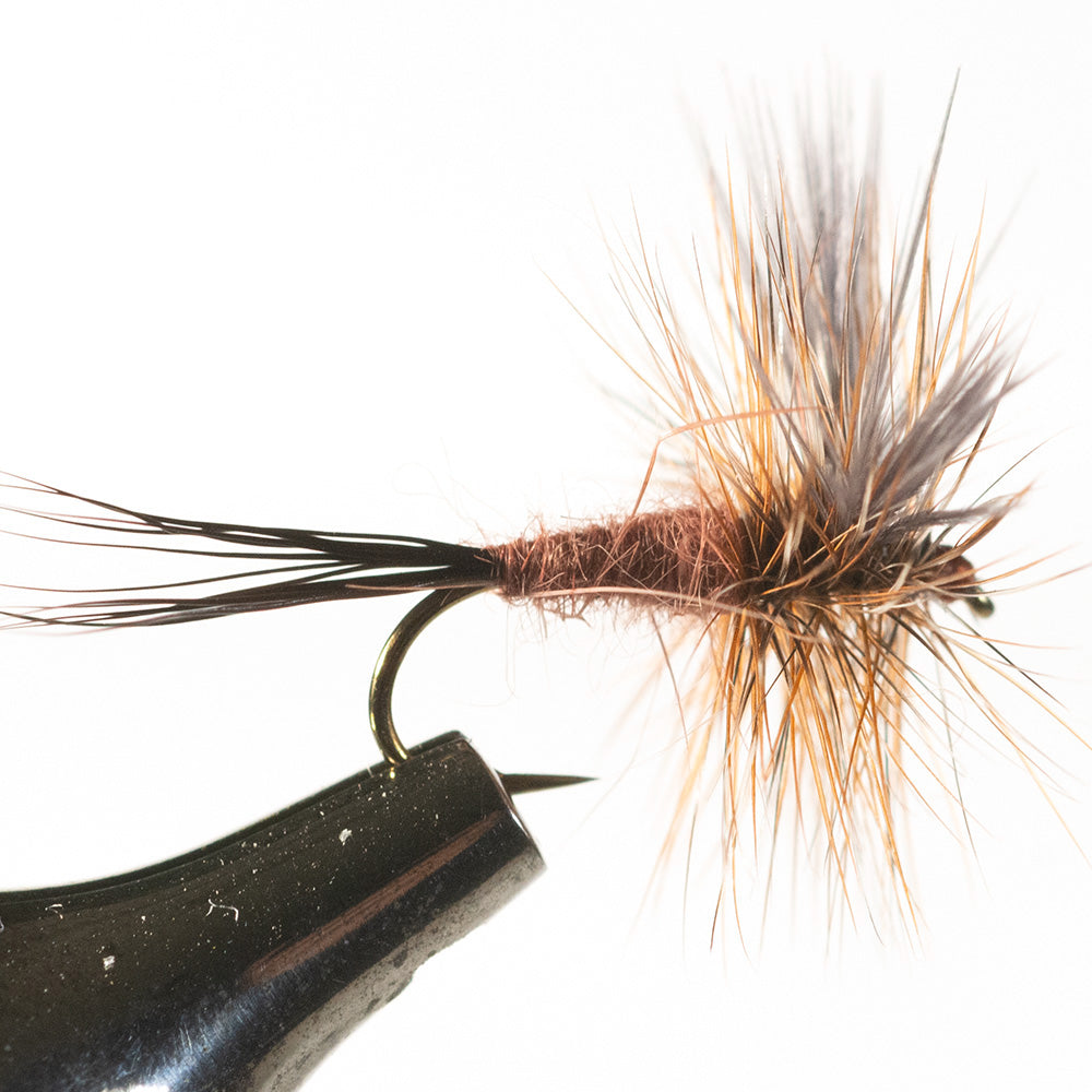 Murray's Drake Dry Fly, Brown