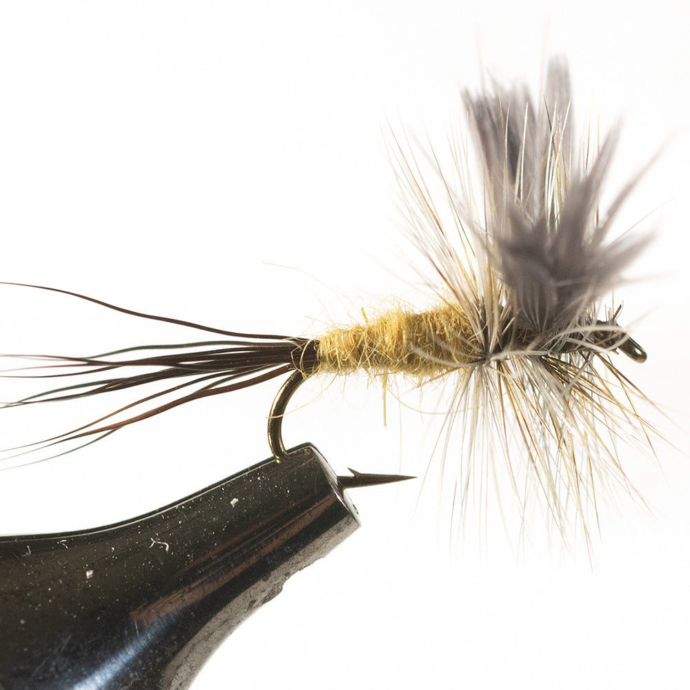 Murray's Drake Dry Fly, Olive