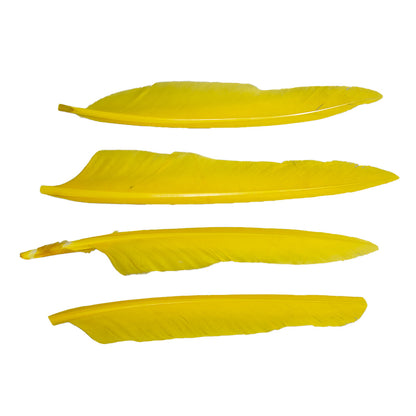 Duck Quill Yellow
