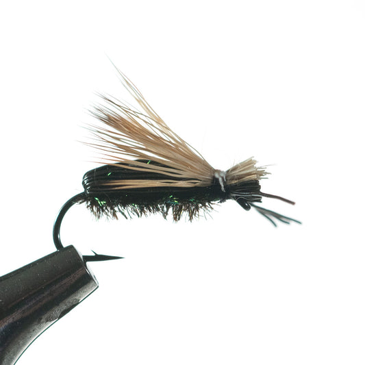 Murray's Flying Beetle