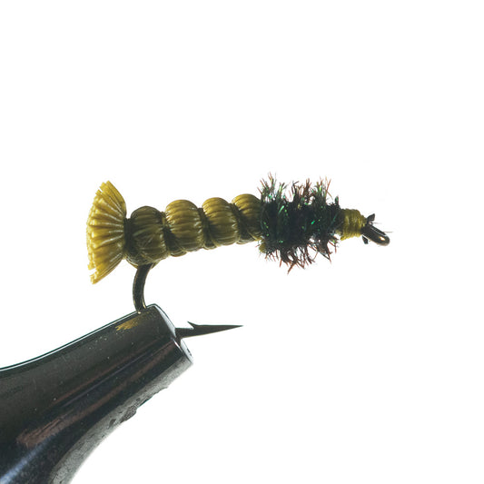Murray's Inchworm, green