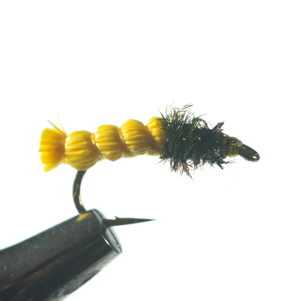 Murray's Inchworm, yellow