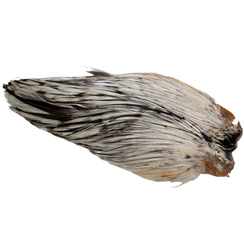 Indian Hackle Cape in Badger color
