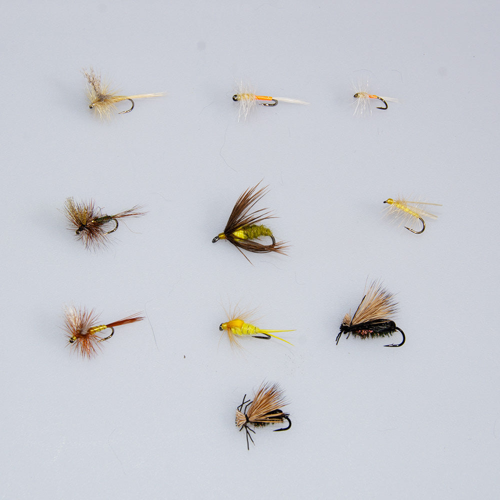 June Trout Fly Special – assorted dry flies and nymphs for trout fishing