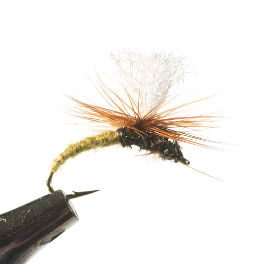 Klinkhammer Dry Fly, Olive