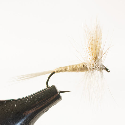 Light Cahill Dry Fly