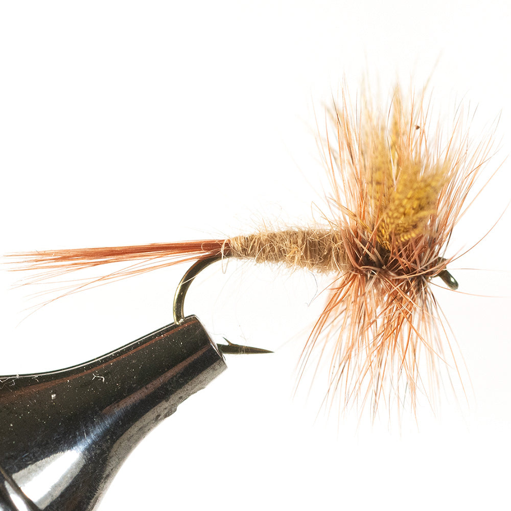 March Brown Dry Fly