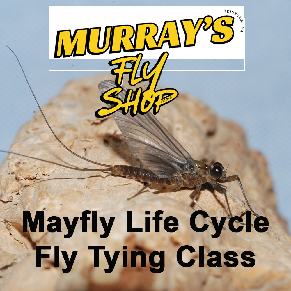 Murray's Mayfly Life Cycle Fly Tying Class