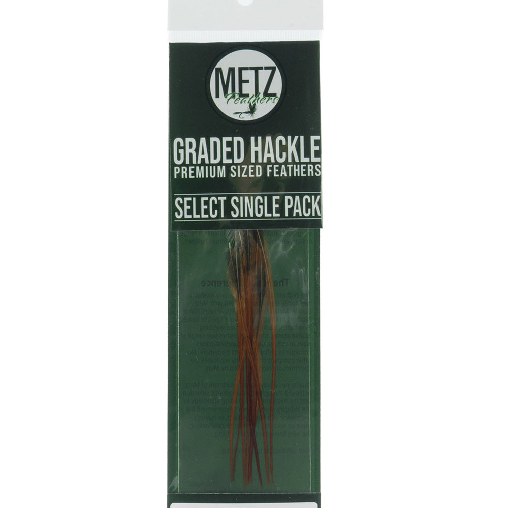 Metz Graded Hackle Single Pack in brown