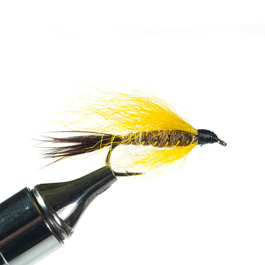 Mr. Rapidan Streamer