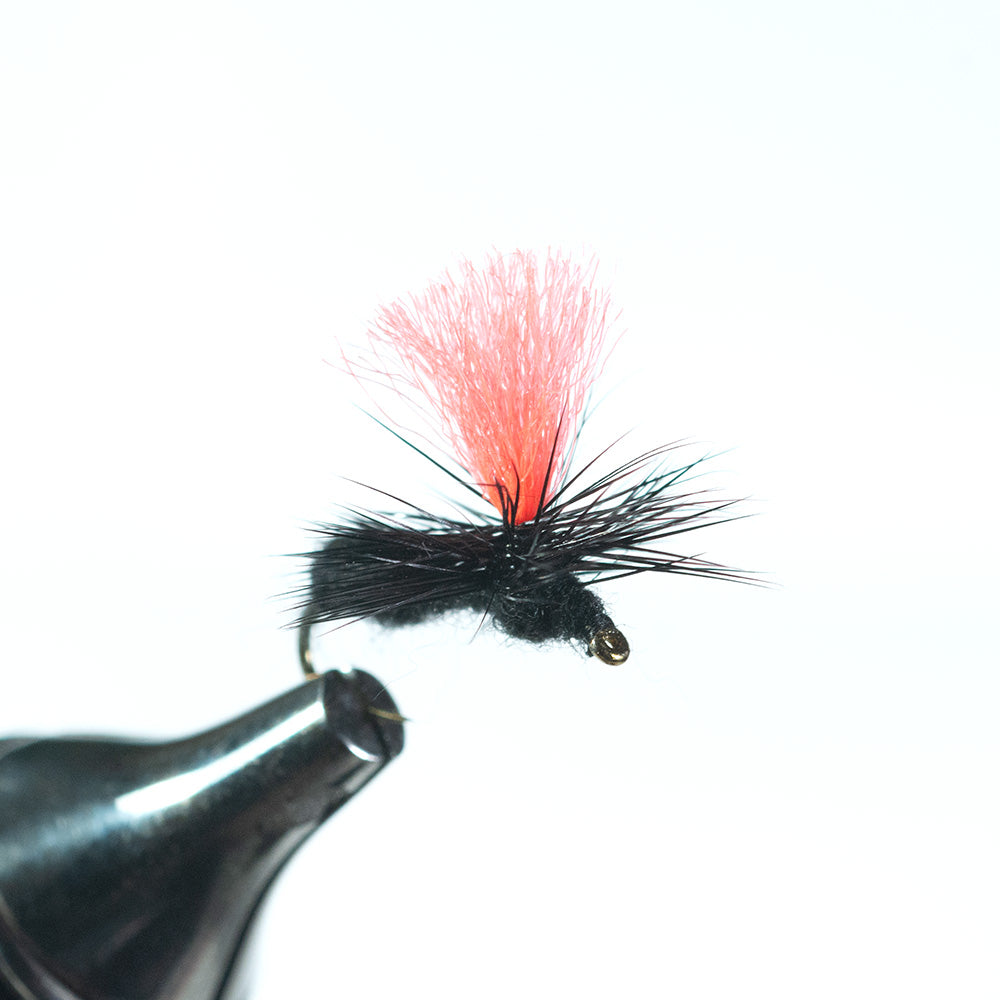Parachute Black Ant, Orange 16