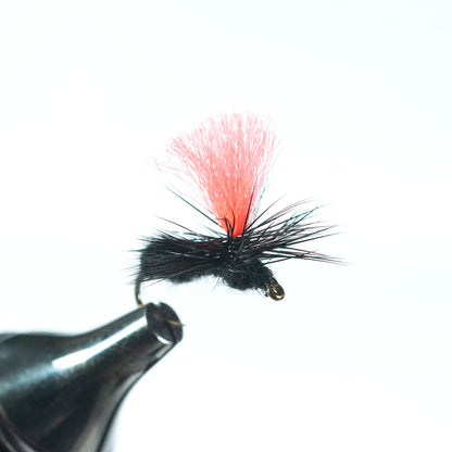 ant fishing lures Parachute Black Ant, Orange 16 and trout time to Rulers / Scales / Grippers Daiwa Best Electric Fishing Color:Natural Paua Shell (Black over Rainbow)