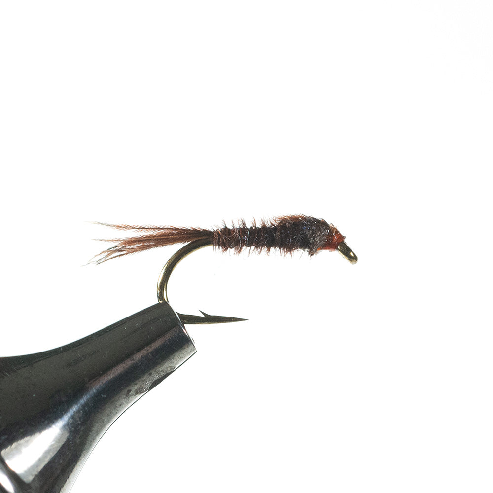 Pheasant Tail Nymph